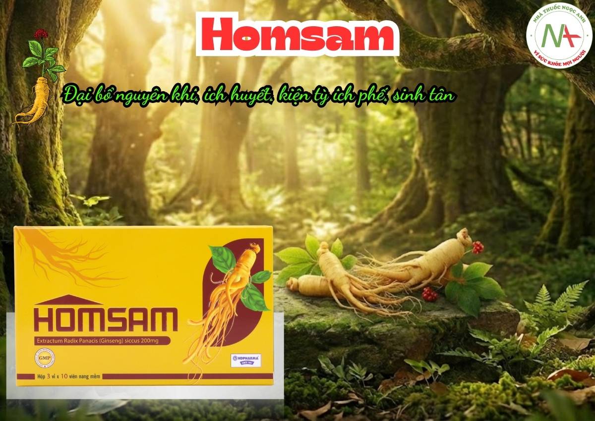 Homsam 3 Thuốc Homsam có tác dụng đại bổ nguyên khí