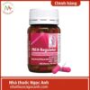 PM H-Regulator