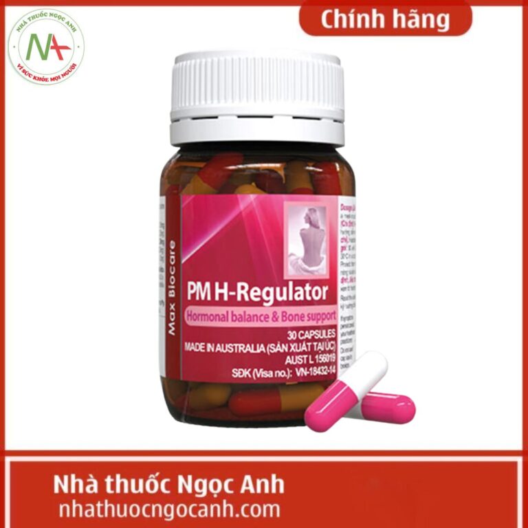 PM H-Regulator
