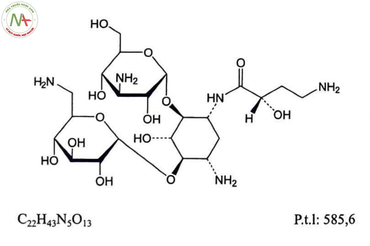 AMIKACIN 2 AMIKACIN