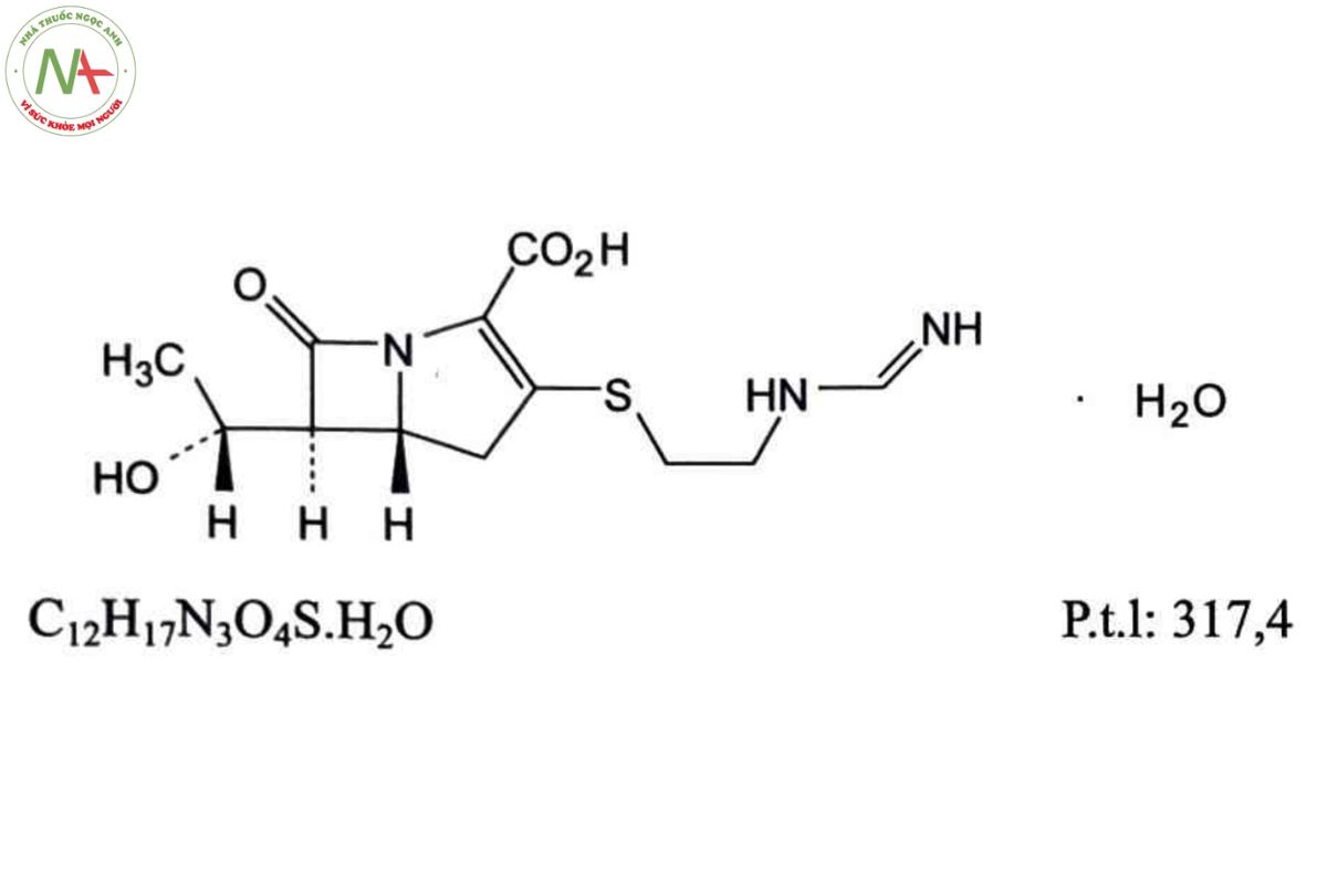 IMIPENEM MONOHYDRAT 2 IMIPENEM MONOHYDRAT