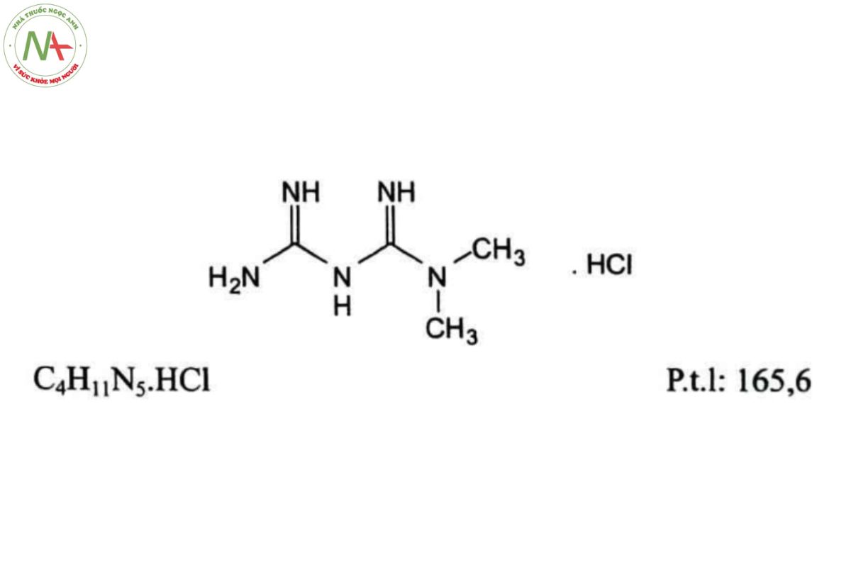 METFORMIN HYDROCLORID 2 Metformin Hydroclorid