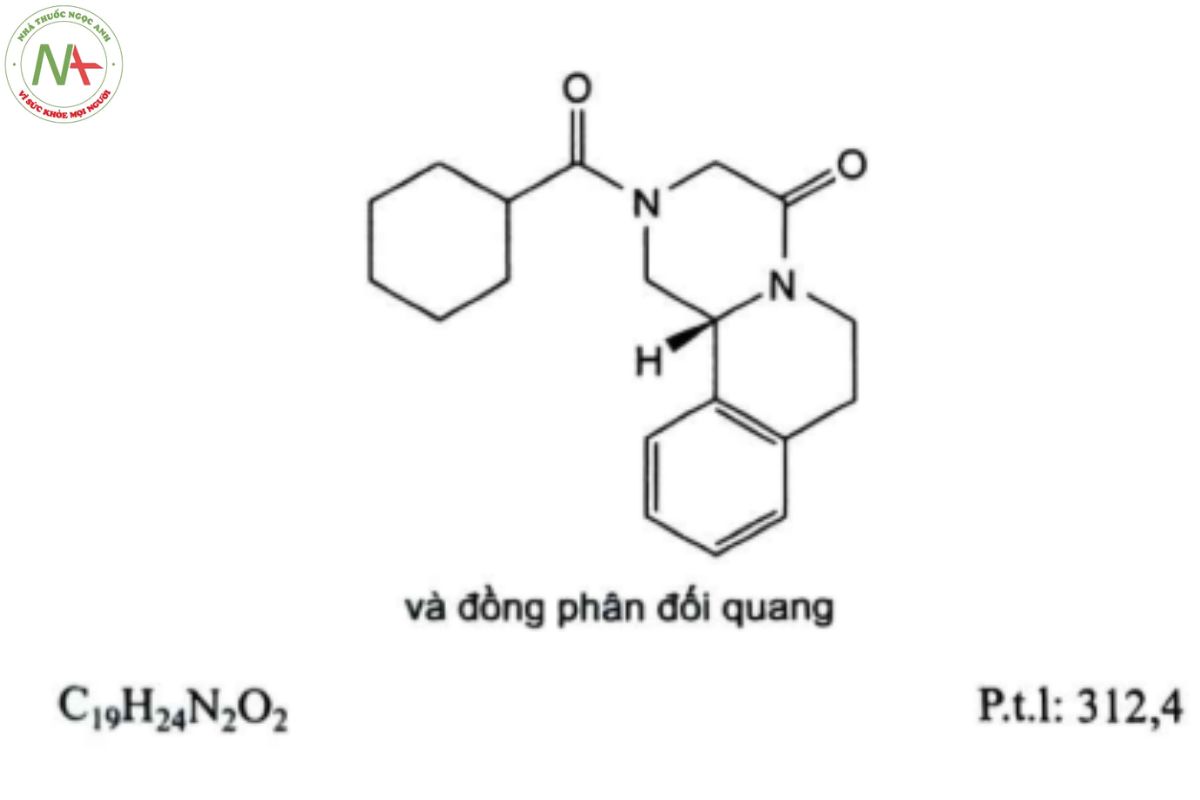PRAZIQUANTEL 2 PRAZIQUANTEL