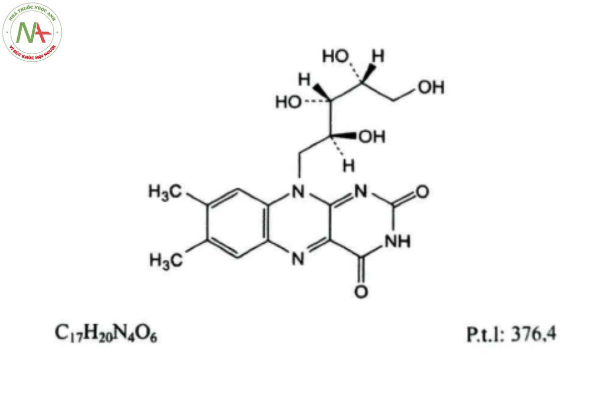 RIBOFLAVIN 2 RIBOFLAVIN