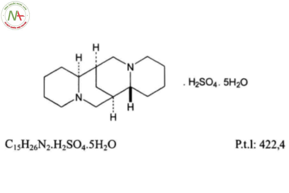 SPARTEIN SULFAT 2 SPARTEIN SULFAT