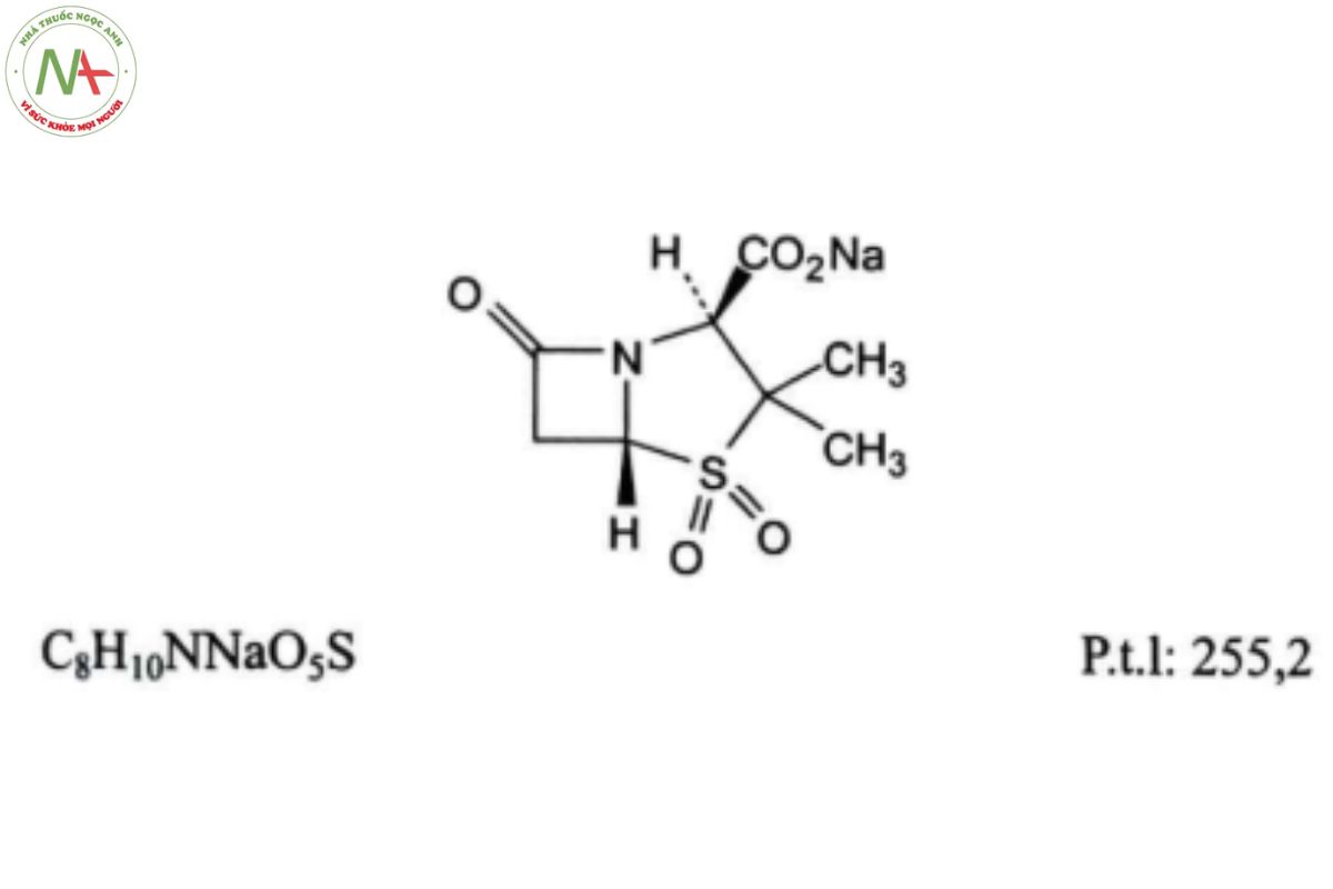 SULBACTAM NATRI 2 SULBACTAM NATRI
