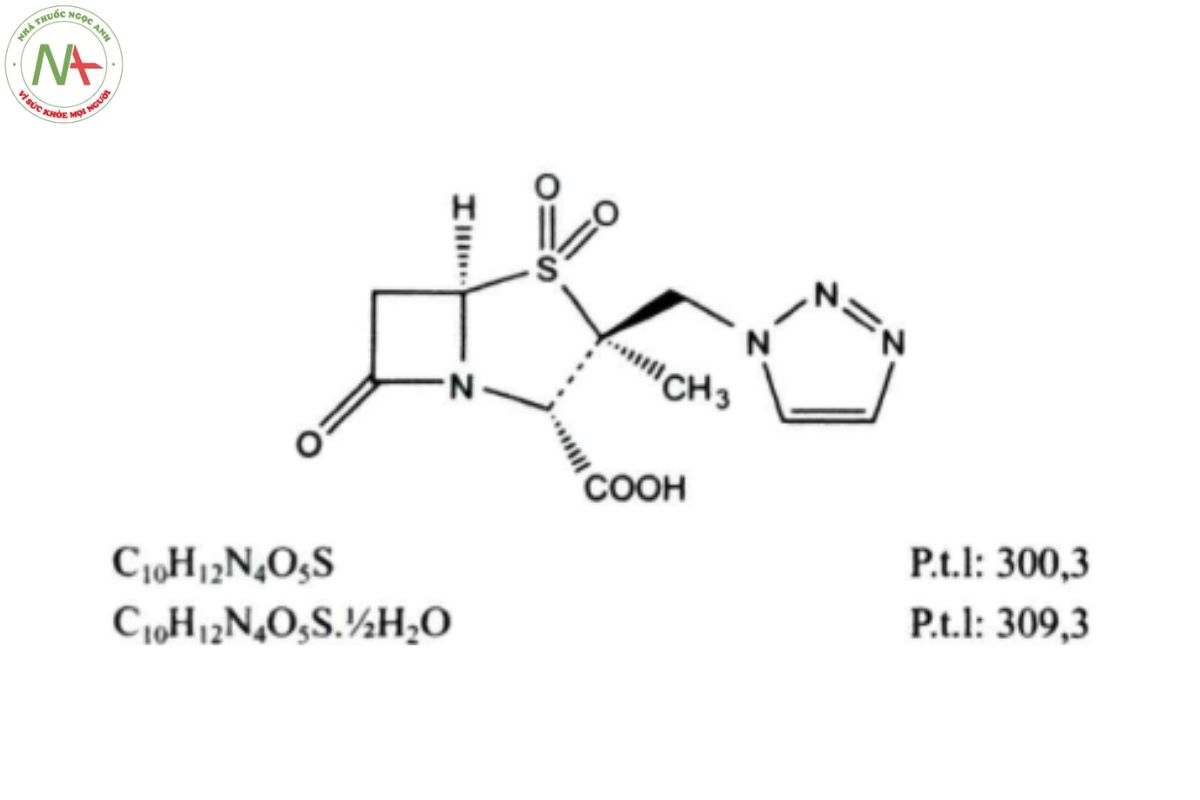 TAZOBACTAM 2 TAZOBACTAM