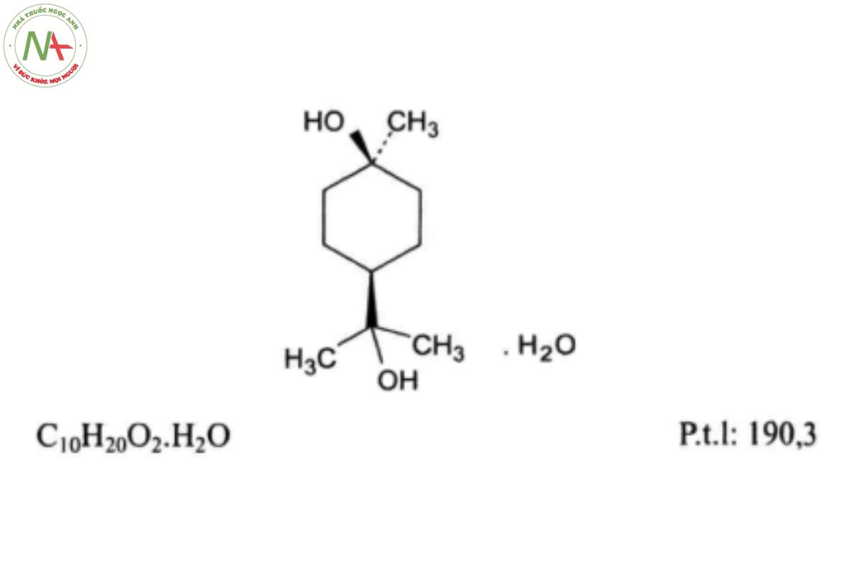 TERPIN HYDRAT 2 TERPIN HYDRAT