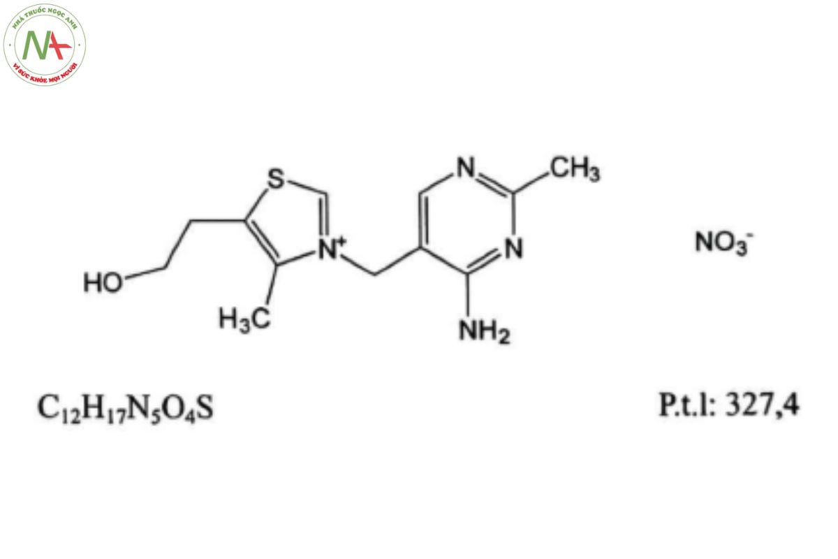 THIAMIN NITRAT 2 THIAMIN NITRAT