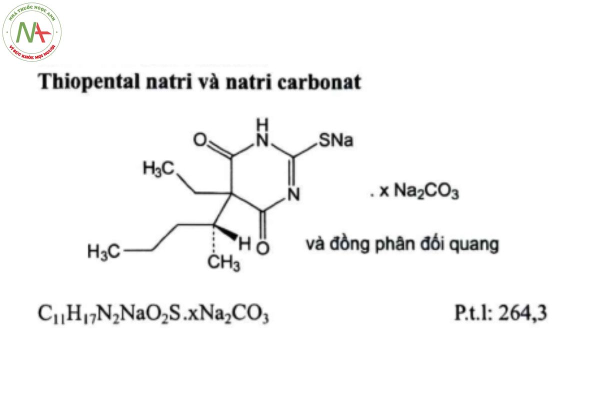 THIOPENTAL NATRI 2 THIOPENTAL NATRI