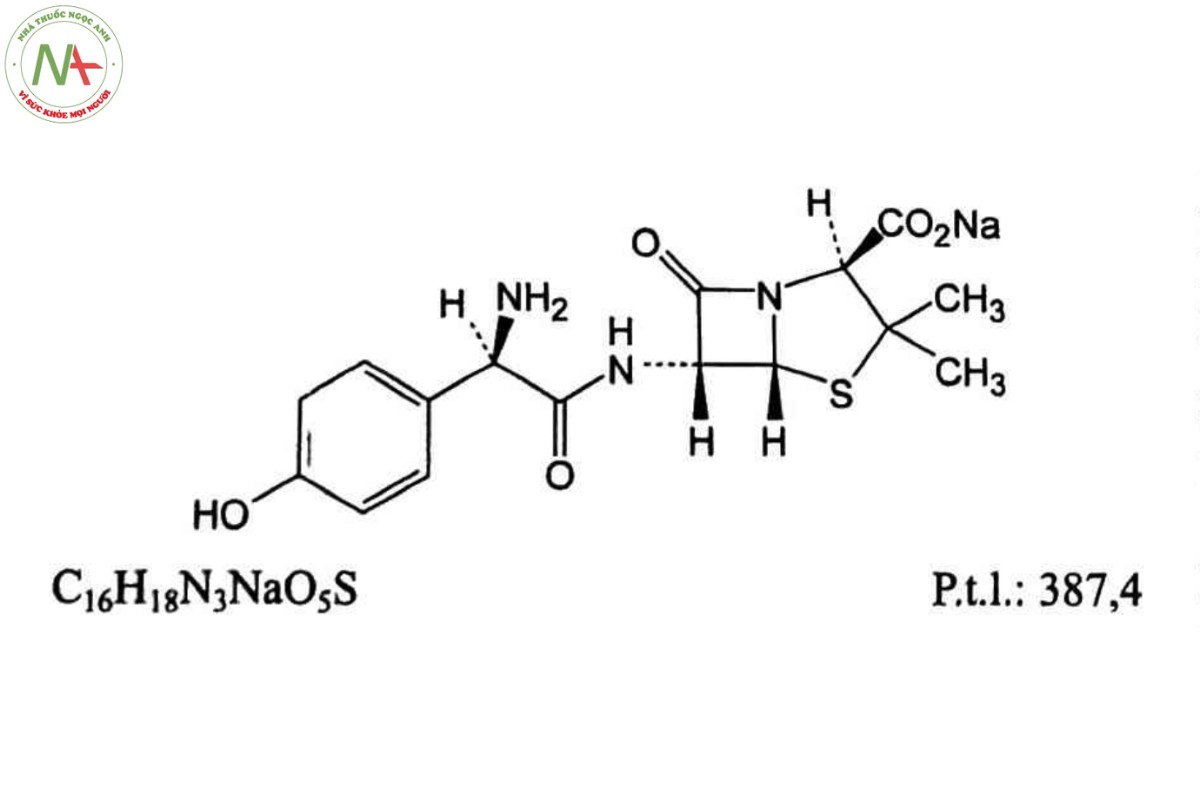 AMOXICILIN NATRI 2 AMOXICILIN NATRI