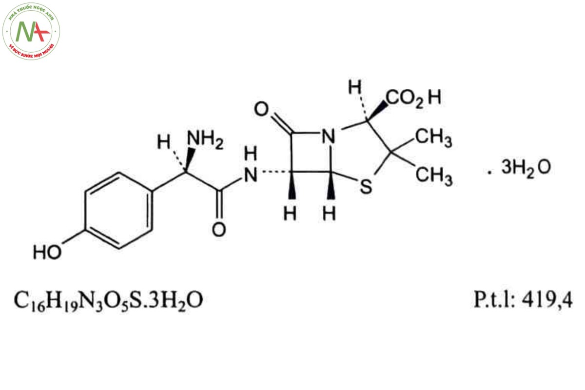 AMOXICILIN TRIHYDRAT 2 AMOXICILIN TRIHYDRAT