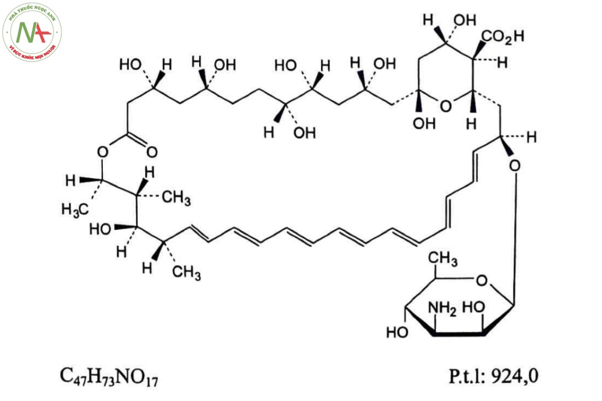 AMPHOTERICIN B 2 AMPHOTERICIN B