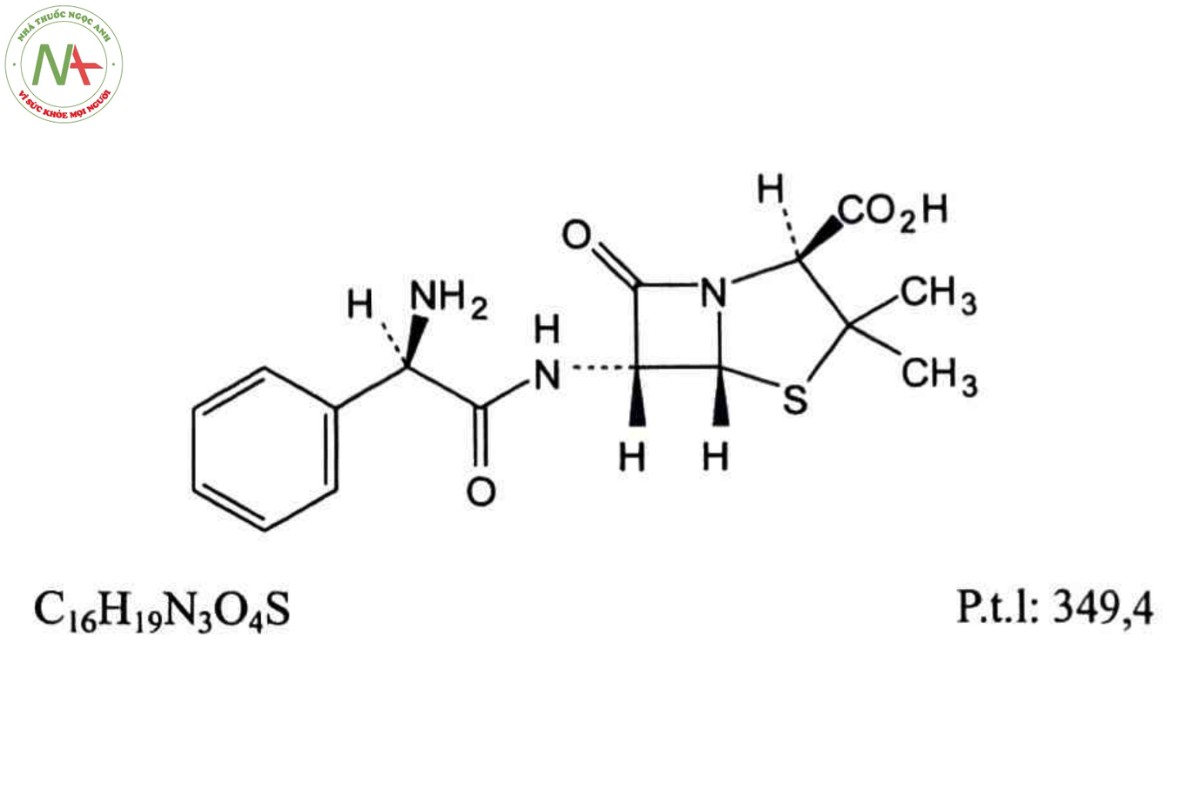 AMPICILIN 2 AMPICILIN
