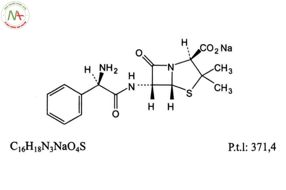 AMPICILIN NATRI 2 AMPICILIN NATRI
