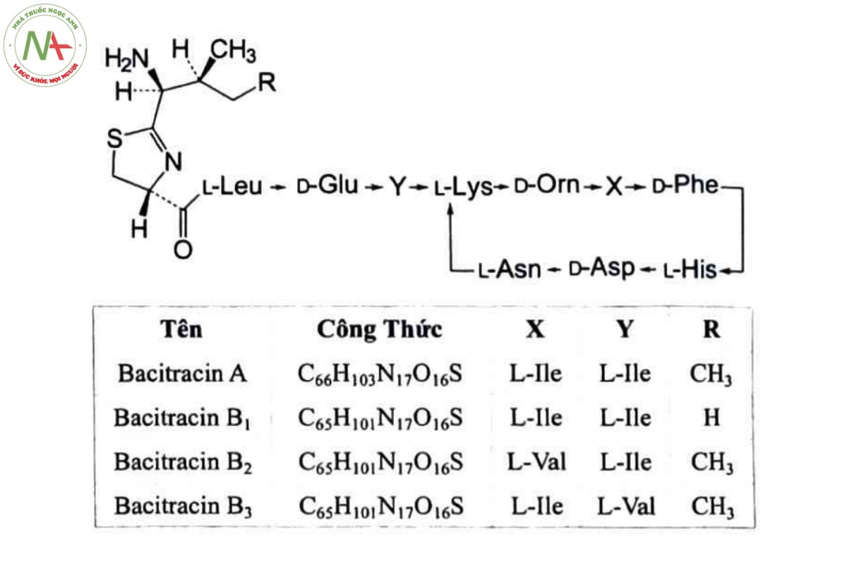 BACITRACIN 2 BACITRACIN
