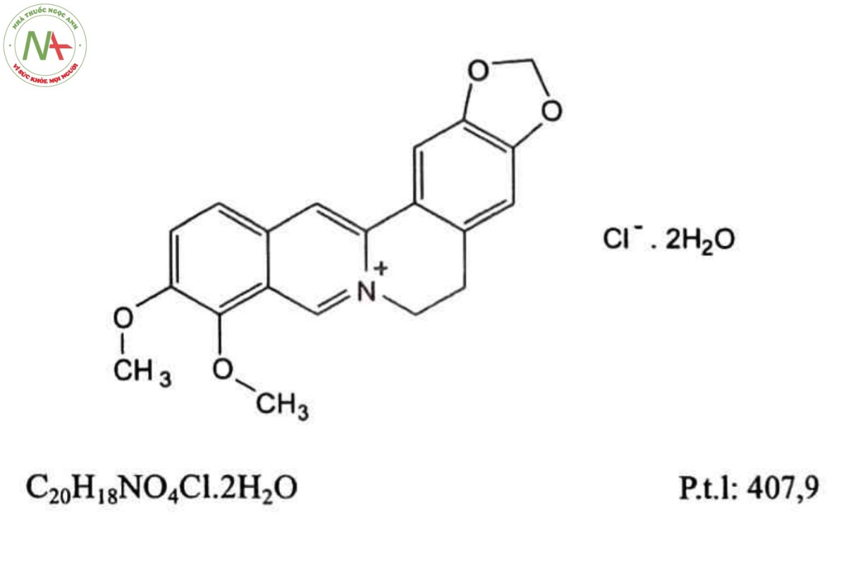 BERBERIN CLORID 2 BERBERIN CLORID