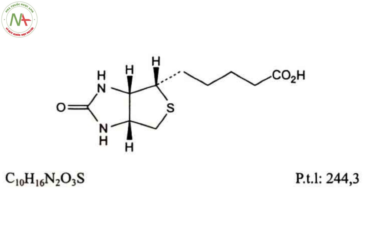 BIOTIN 2 BIOTIN