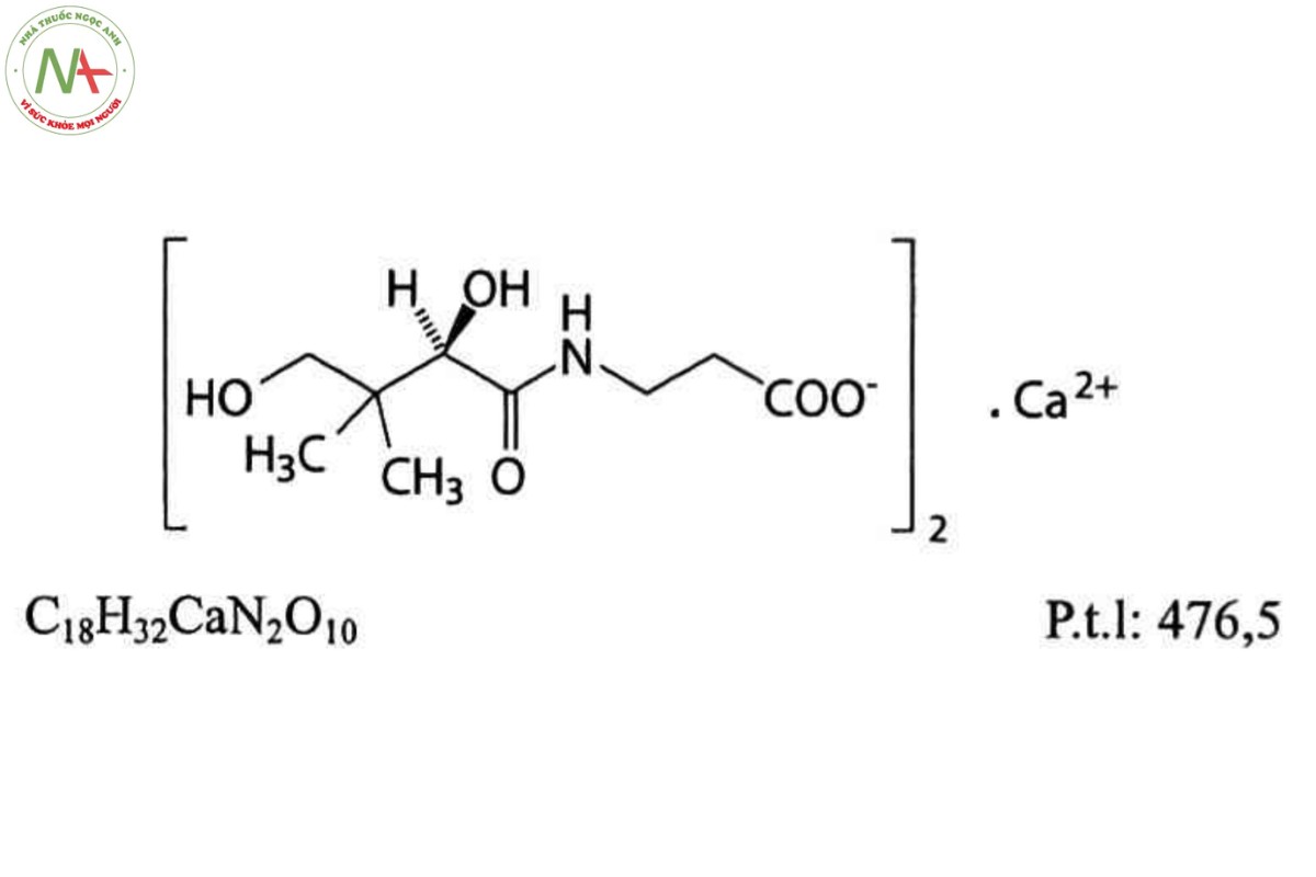 CALCI PANTOTHENAT 2 CALCI PANTOTHENAT