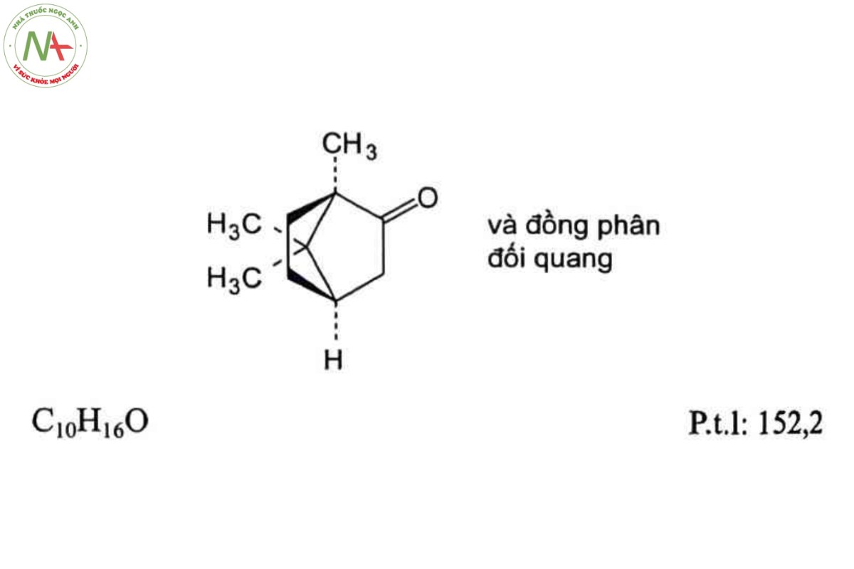 CAMPHOR RACEMIC 2 CAMPHOR RACEMIC