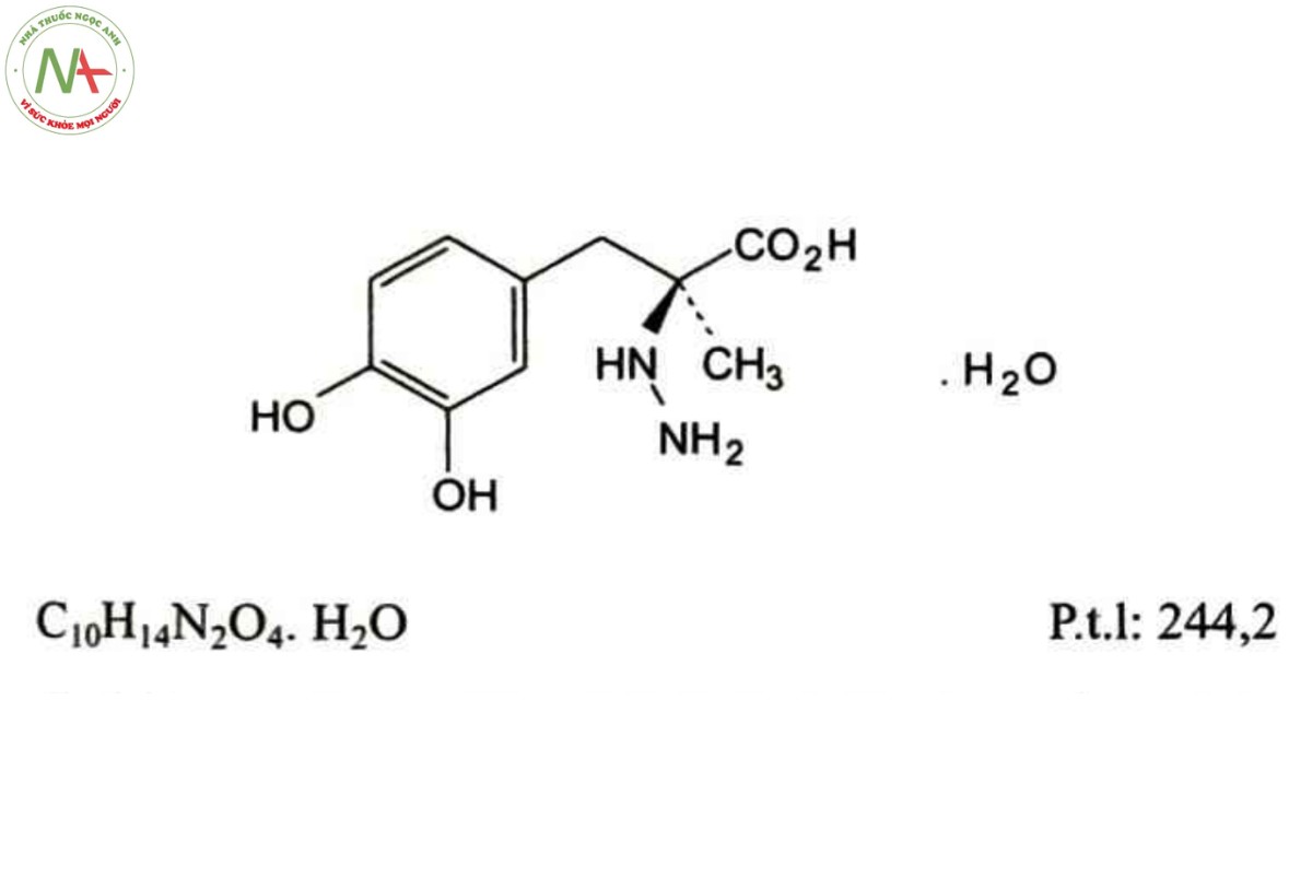 CARBIDOPA 2 CARBIDOPA