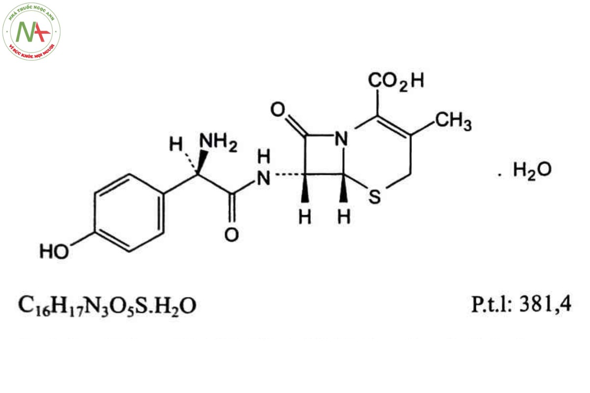 CEFADROXIL MONOHYDRAT 2 CEFADROXIL MONOHYDRAT