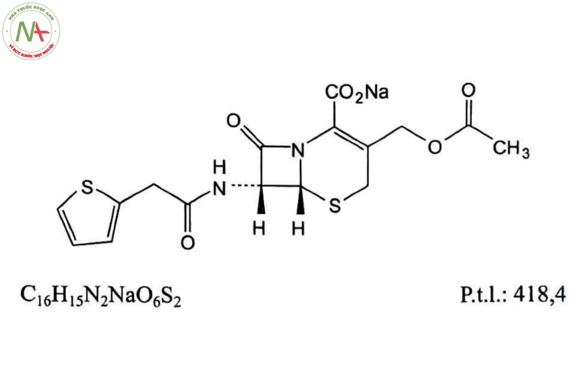 CEFALOTIN NATRI 2 CEFALOTIN NATRI