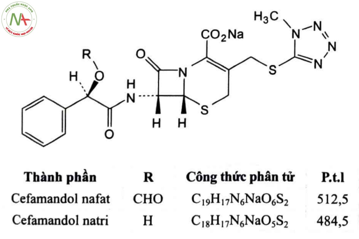 CEFAMANDOL NAFAT 2 CEFAMANDOL NAFAT