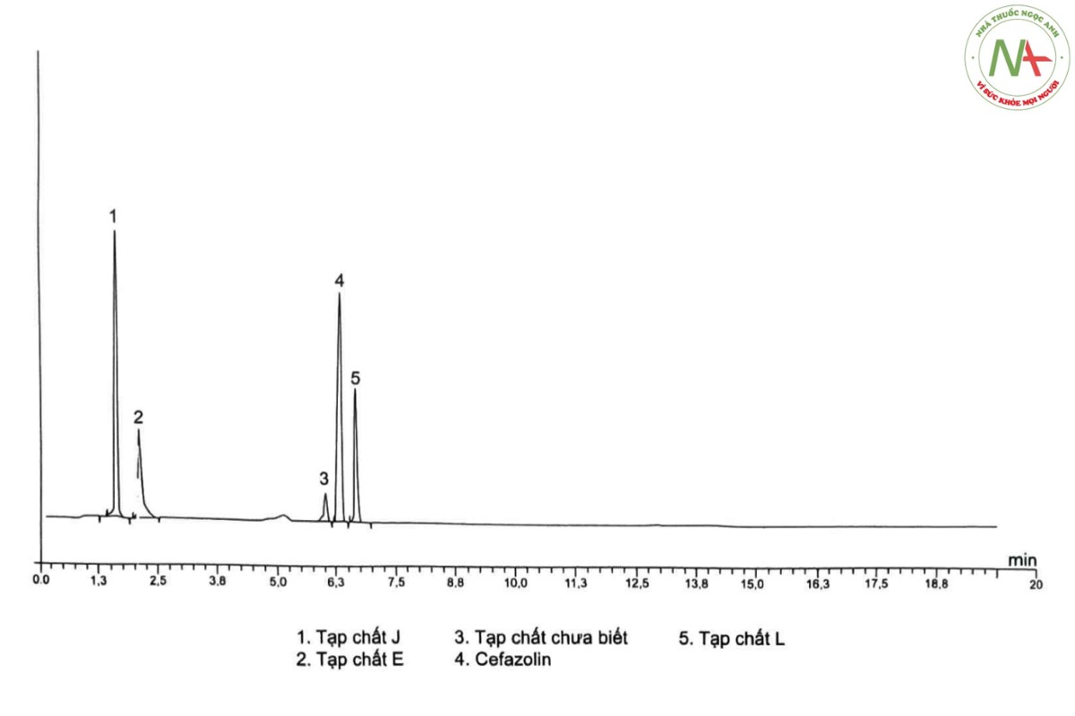 CEFAZOLIN NATRI 3 CEFAZOLIN NATRI