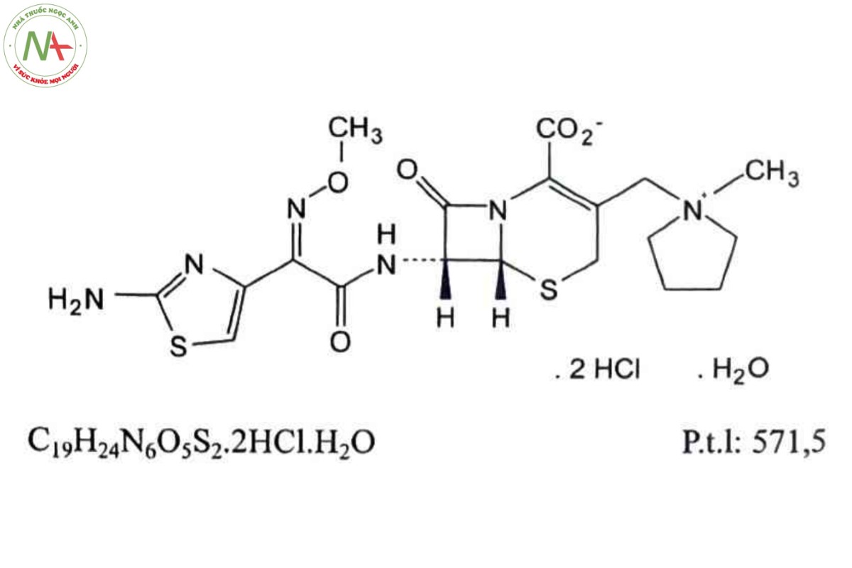 CEFEPIM HYDROCLORID MONOHYDRAT 2 CEFEPIM HYDROCLORID MONOHYDRAT
