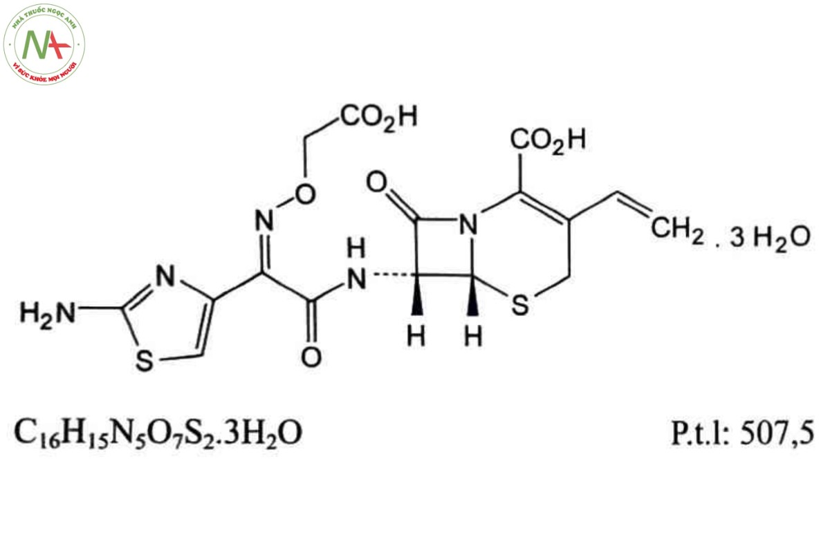 CEFIXIM 2 CEFIXIM