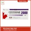 Cefotaxime 2000 Dược phẩm Tenamyd