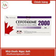 Nhà Thuốc Ngọc Anh 46 Cefotaxime 2000 Dược phẩm Tenamyd