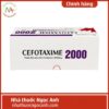 Cefotaxime 2000 Dược phẩm Tenamyd 75x75px