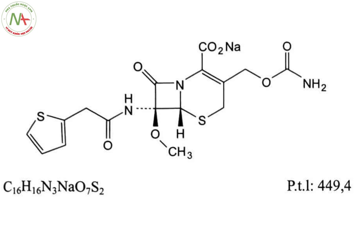 CEFOXITIN NATRI 2 CEFOXITIN NATRI