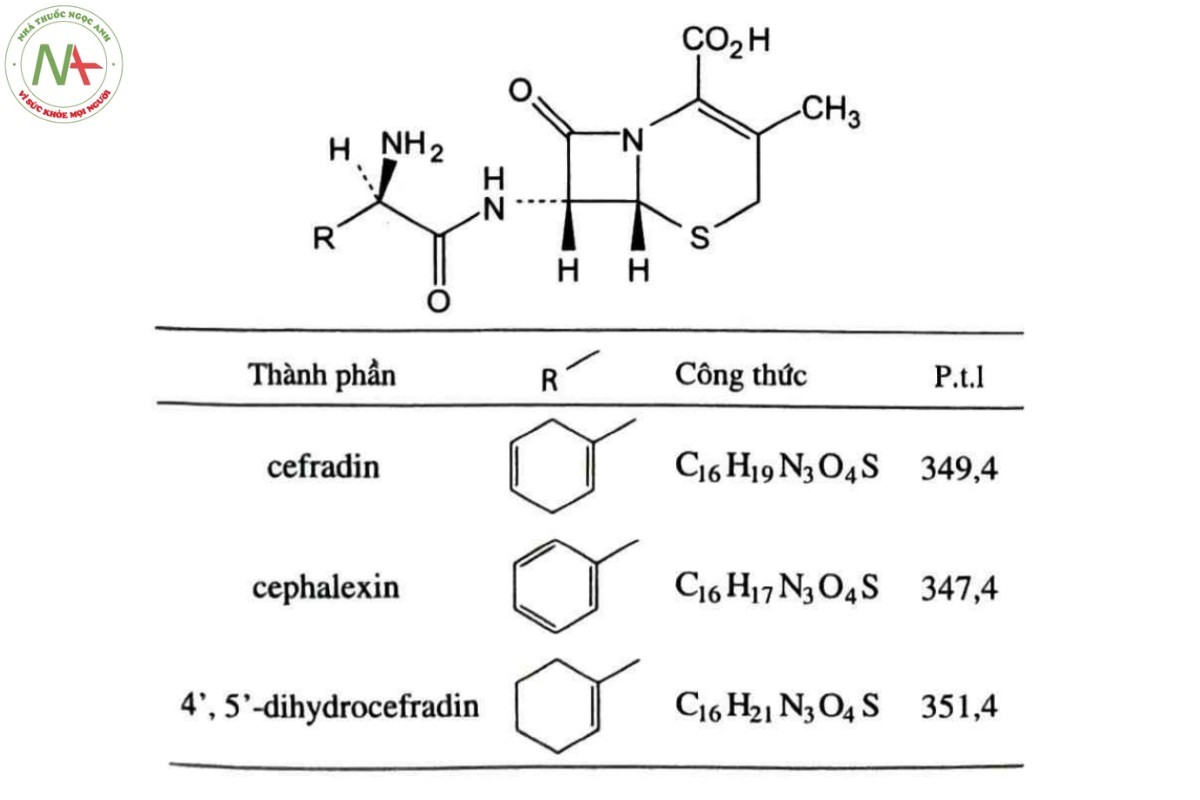 CEFRADIN 2 CEFRADIN