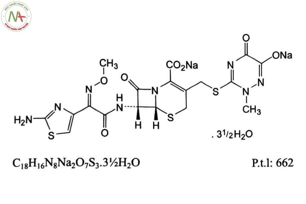 CEFTRIAXON NATRI 2 CEFTRIAXON NATRI