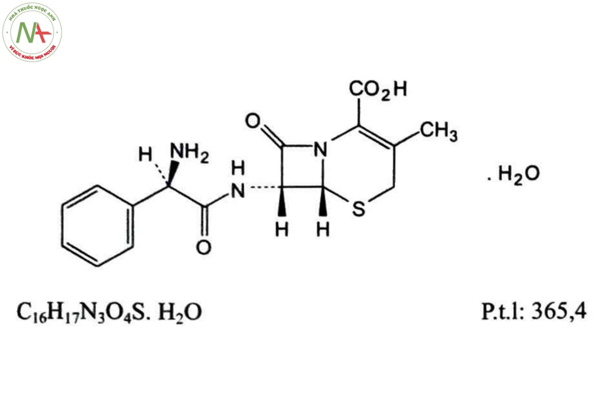 CEPHALEXIN 2 CEPHALEXIN