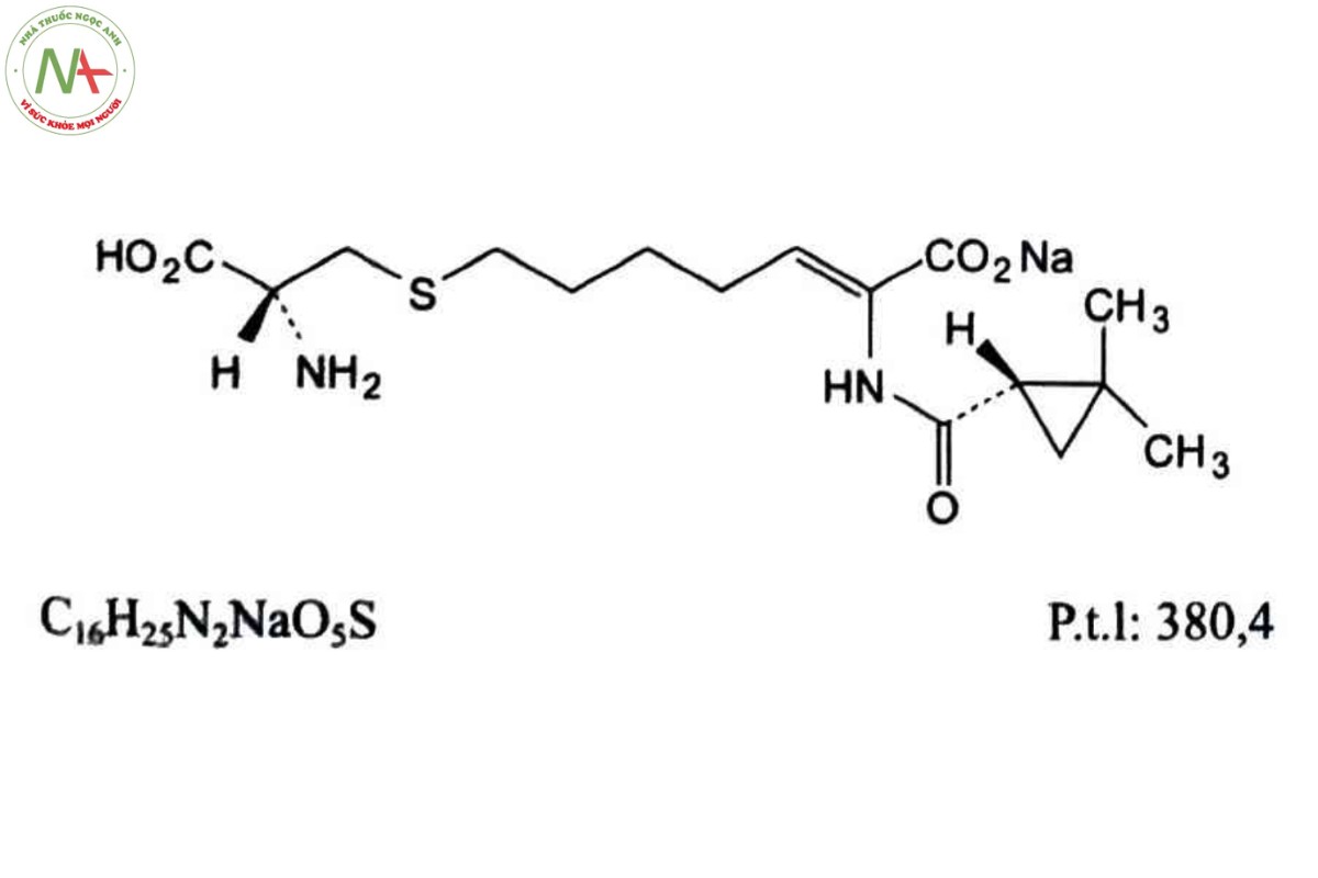 CILASTATIN NATRI 2 CILASTATIN NATRI