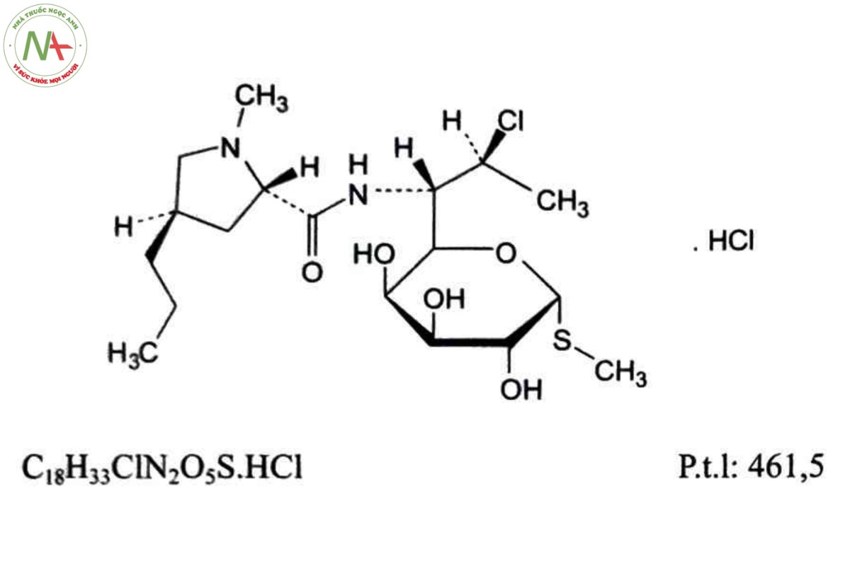 CLINDAMYCIN HYDROCLORID 2 CLINDAMYCIN HYDROCLORID
