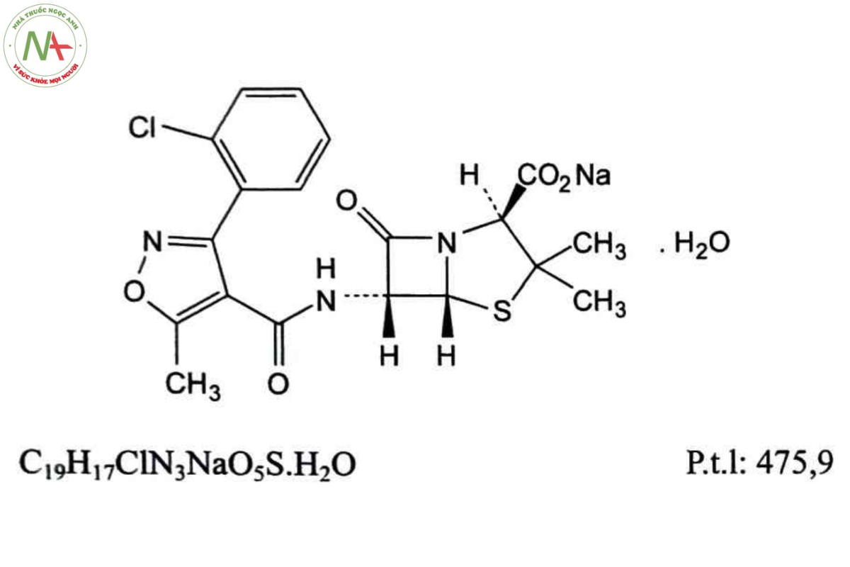 CLOXACILIN NATRI 2 CLOXACILIN NATRI