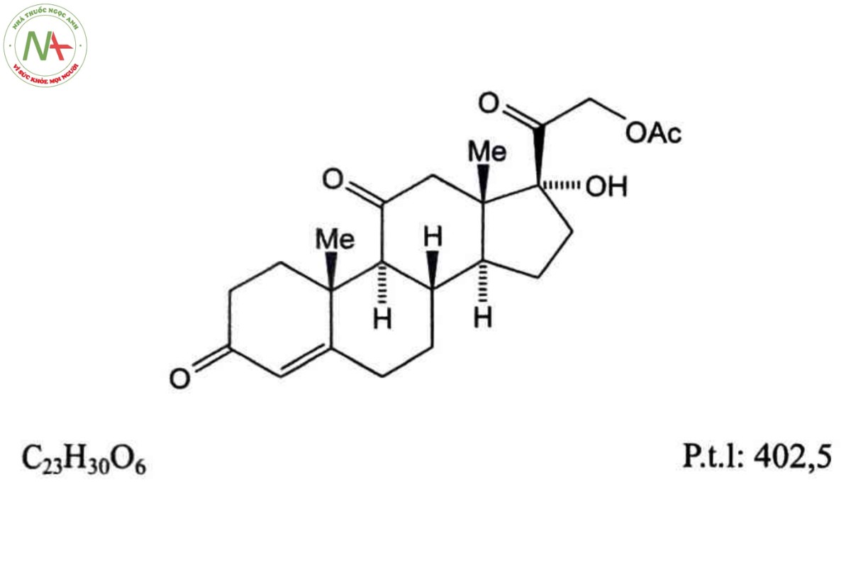 CORTISON ACETAT 2 CORTISON ACETAT