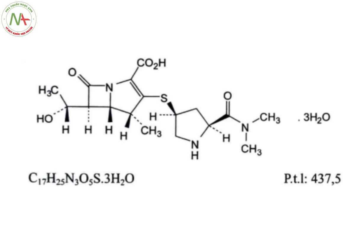 MEROPENEM TRIHYDRAT 2 MEROPENEM TRIHYDRAT