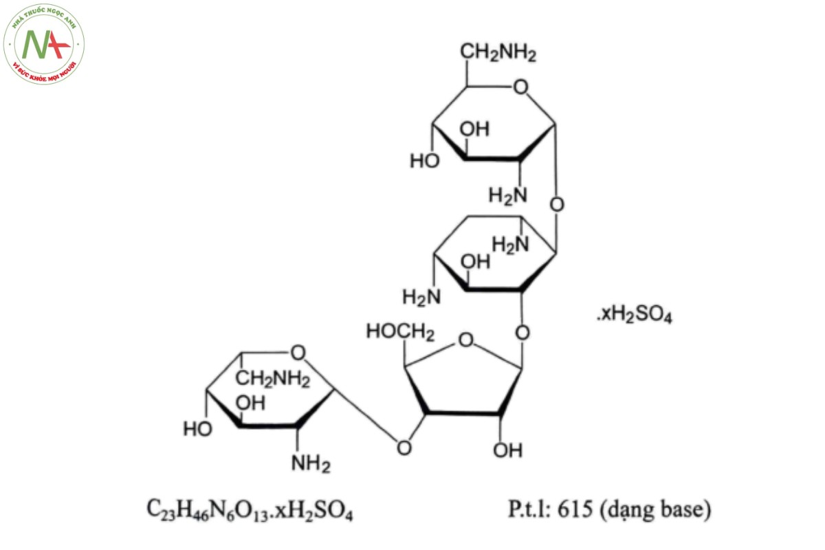 NEOMYCIN SULFAT 2 NEOMYCIN SULFAT
