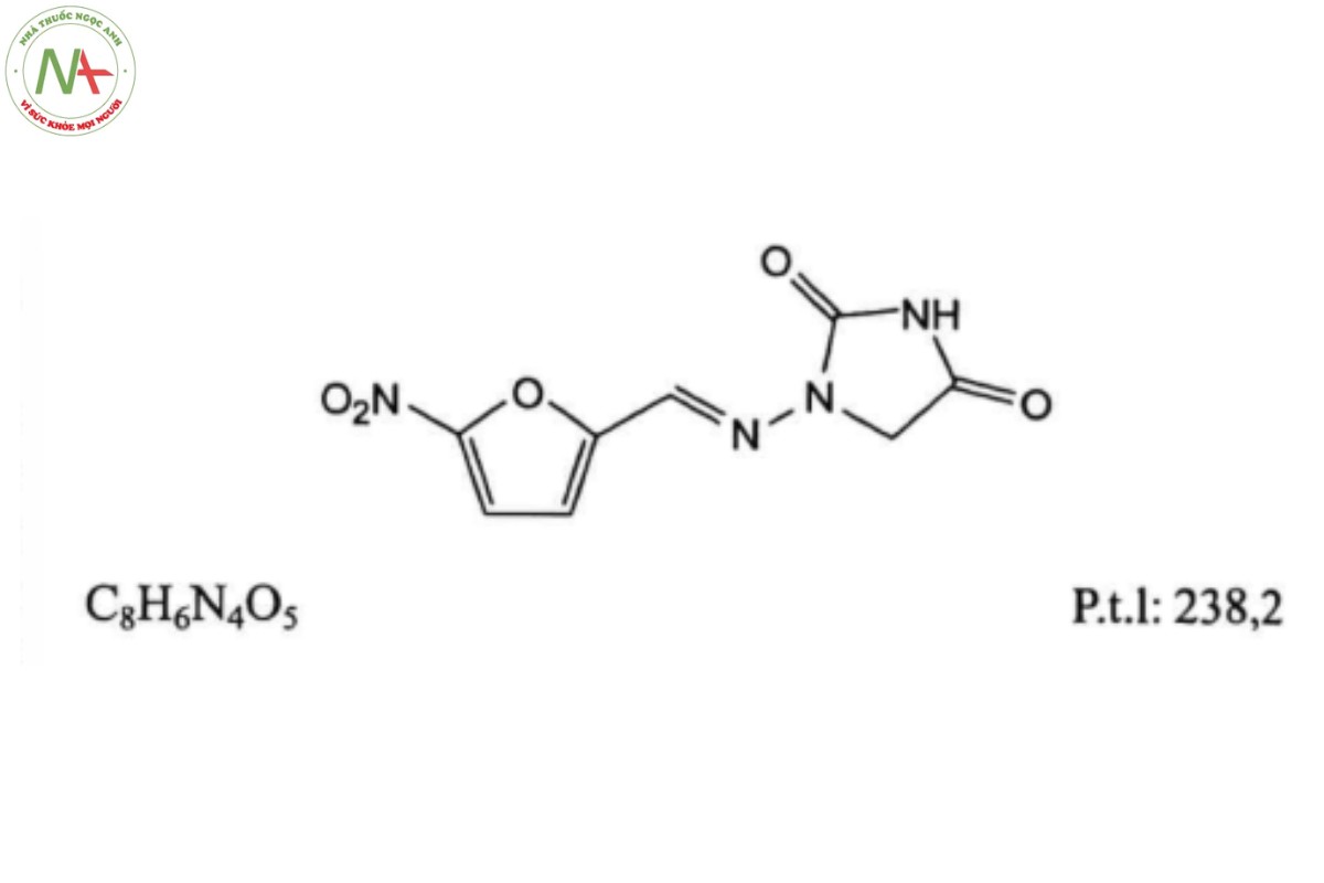 NITROFURANTOIN 2 NITROFURANTOIN
