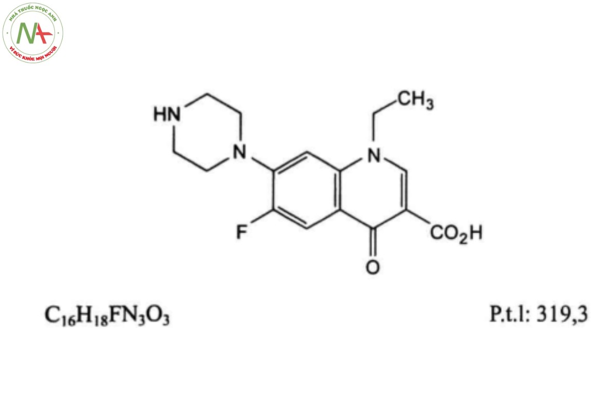 NORFLOXACIN 2 NORFLOXACIN