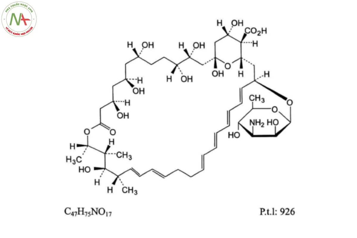 NYSTATIN 2 NYSTATIN