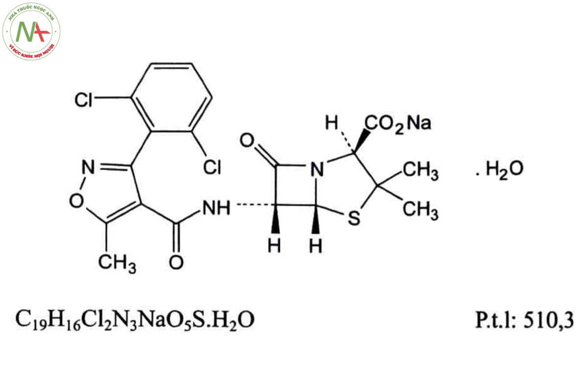 DICLOXACILIN NATRI 2 DICLOXACILIN NATRI