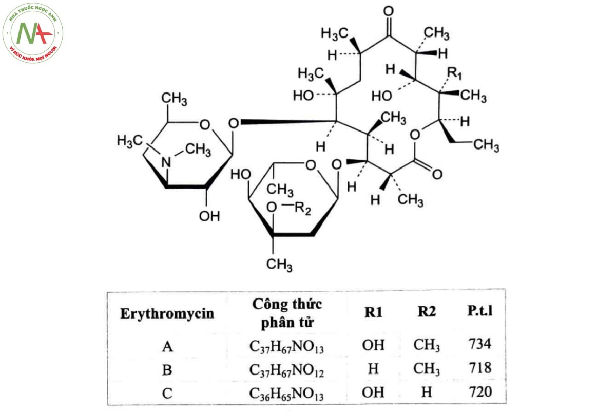 ERYTHROMYCIN 2 ERYTHROMYCIN