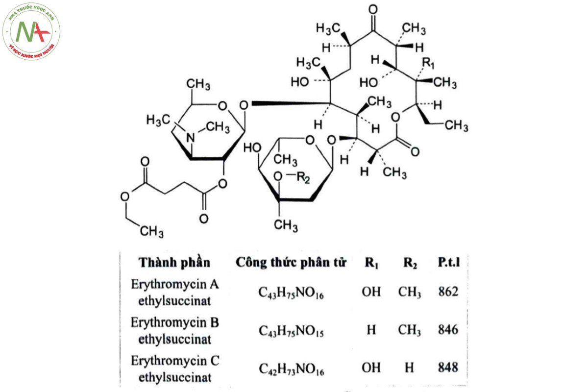ERYTHROMYCIN ETHYL SUCCINAT 2 ERYTHROMYCIN ETHYL SUCCINAT